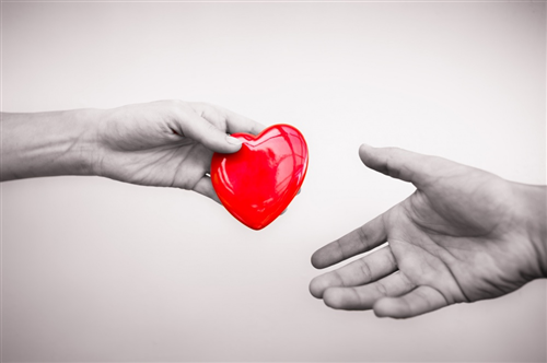 una scelta in Comune - esprimi la tua volonta´ sulla donazione di organi e tessuti